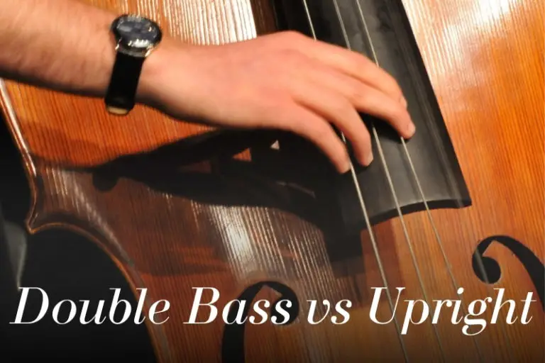 Double Bass Vs Upright Bass Is There a Difference? Bass Guitar Shack