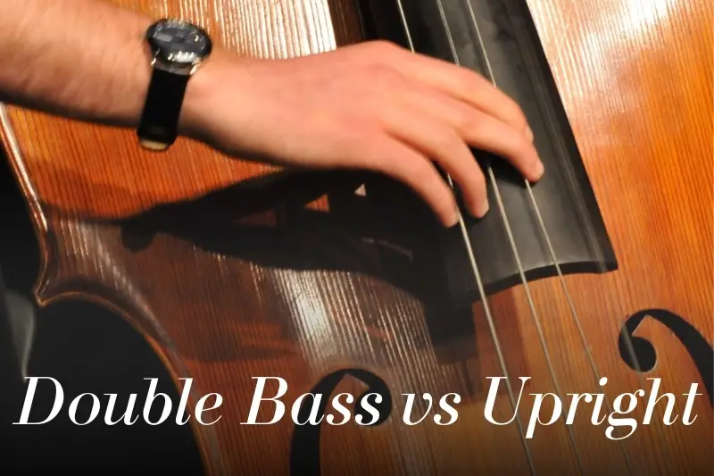 Double Bass vs Upright Bass
