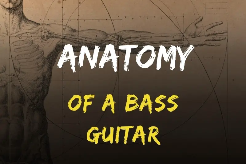 Parts of a Bass Guitar